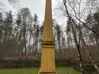 Tour Wandern La Hulpe - La Hulpe 22 km - Photo