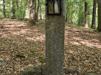 Trail Walking Profondeville - RB-Na-20-Raccourci-2_Paysages_entre_Meuse_et_Burnot - Photo
