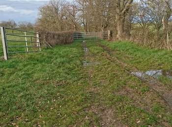 Trail Donkey back riding Avrilly - barrières 2 sur  ch - Photo