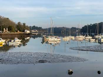 Tocht Stappen Moëlan-sur-Mer - Belon 16 km - Photo