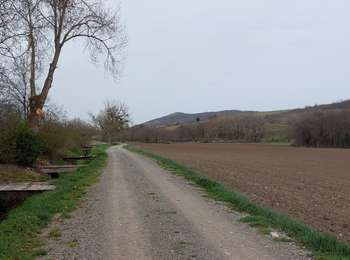 Percorso Marcia Pérignat-sur-Allier - LES HAUTS D'ALLIER - Photo