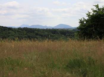 Percorso A piedi Charbonnières-les-Vieilles - Le Gour de Tazenat - circuit bleu - Photo