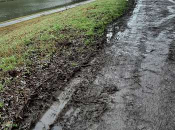 Trail Walking Chapelle-lez-Herlaimont - Godarville adeps 040224 - Photo