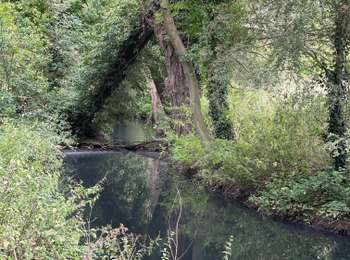 Trail Walking Geer -  natagora réserve du haut Geer Hollogne  - Photo