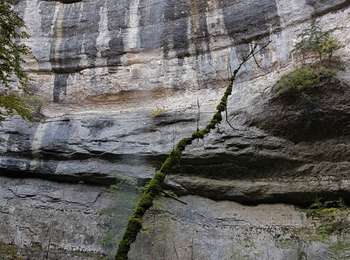 Trail Walking La Rixouse - La Rixouse: Pissevieille - Photo