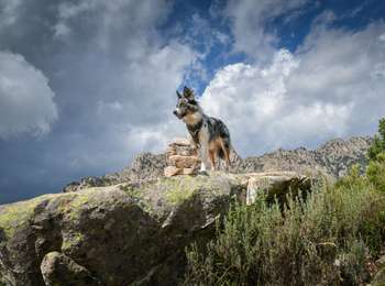 Excursión Otra actividad Peri - Peri - Photo