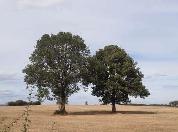 Trail Walking Verviers - Stembert . les Roudoudous . Stembert - Photo