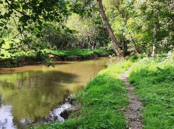 Trail Walking Houffalize - Promenade vers la roche plate - Photo