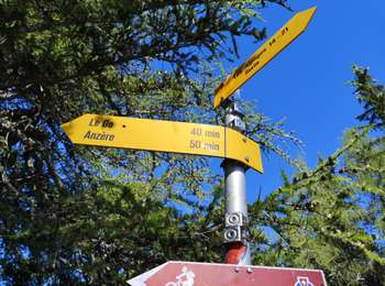 Tocht Noords wandelen Ayent - 07.08.20 Tour des Alpages  - Photo