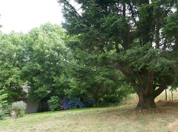 Tour Wandern Pradelles-Cabardès - Pradelles-Cabardes les glacières  - Photo