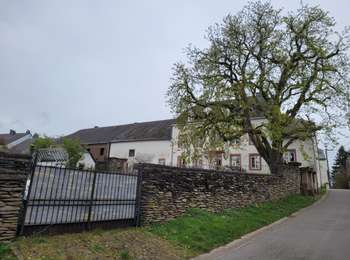 Tour Wandern Feitweiler - rando fauvillers 5-04-2024 - Photo