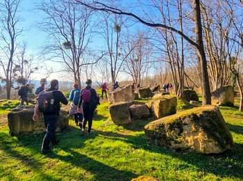 Tour Wandern Marcoussis - Boucle 21 km autour de Marcoussis - Photo
