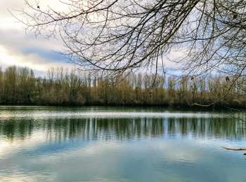 Tour Wandern Moret-Loing-et-Orvanne - Boucle Moret sur Loing - Montigny sur Loing + Forêt de Fontainebleau - Photo