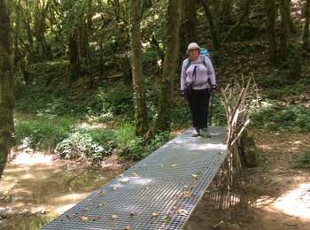 Trail Walking Val-Suran - Etape 2 GR 9 : Saint Julien sur Saran / Arinthod - Photo