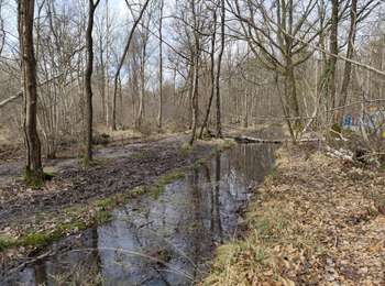 Tour Wandern Noisy-le-Grand - Le bois de grace - Photo