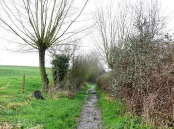 Trail On foot Heuvelland - Geuzen wandelroute - Photo