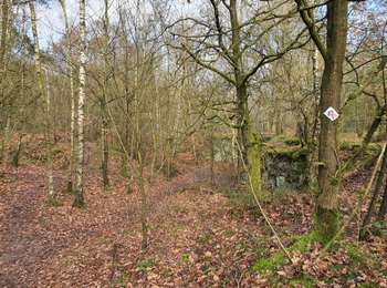 Trail Walking Belœil - ADEPS - Granglise (Amis de la nature) - Photo