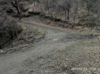 Trail Horseback riding Le Castellard-Mélan - Boucle 3,7 km au départ de Fontbarliere par Manent et les Collons - Photo