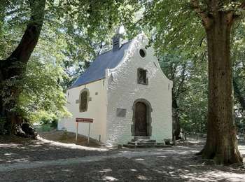 Randonnée Marche Beersel - RL-GG-24 - Beersel - Hennuyères - 2025-05-19 - Photo