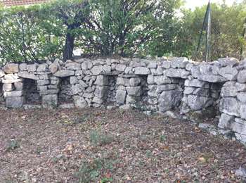 Excursión Curso de orientación Roquefort-les-Pins - Le rucher de Roquefort les pins - Photo