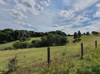 Trail Walking Fléron - AU DÉPART DE MAGNEE - Photo