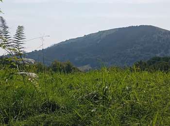 Trail Walking Itxassou - Itxassou (pas de Roland) - Photo