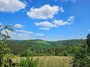 Percorso Marcia Lac de la Haute-Sûre - 2022-09-22_13h02m46_t62746125_eislek pad bavigne (1) - Photo