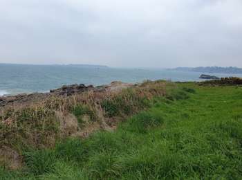 Tour Wandern Perros-Guirec - ploumanach - Photo