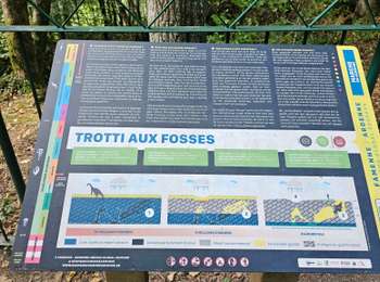 Trail Walking Marche-en-Famenne - Balade à Marche-en-Famenne  - Photo