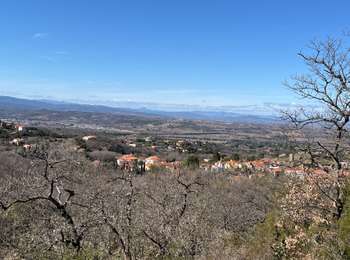 Trail Walking Montesquieu-des-Albères - Montesquieu des Albères - Photo