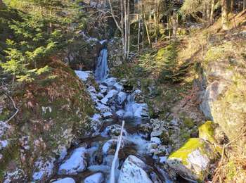 Trail Walking Lepuix - Saut de la Truite - cascade du Rummel - Etang du Petit-Haut - Ballon d'alsace - Photo