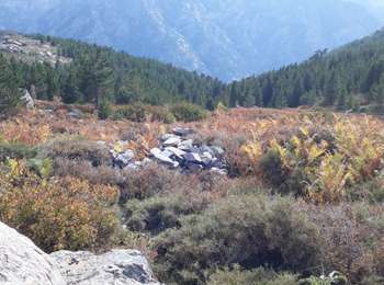 Trail Walking Asco - monte padru - Photo