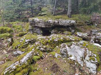Trail Walking Foncine-le-Haut - Bois du Croz - Photo