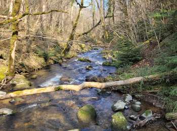 Percorso Marcia Olloix - Olloix_Gorges-La-Monne_T - Photo