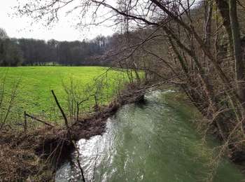 Trail Walking Beaumont - Balade à Renlies - Photo
