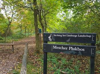 Randonnée Marche Eijsden-Margraten - Mesch - Photo