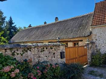 Randonnée Marche Bazoches-sur-Guyonne - Bazoches - Photo