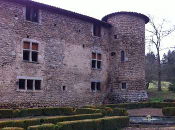 Percorso A piedi Saint-Ferréol-des-Côtes - Le Ruisseau des Escures - Photo