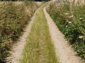 Trail Mountain bike Soignies - VTT_Boucle Casteau - Le Roeulx (39km) - Photo