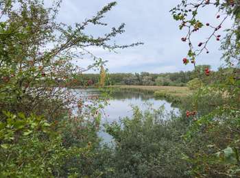Trail Walking Bernissart - Harchies 170923 - Photo