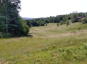Trail Walking Servance-Miellin - Les Grilloux - Photo