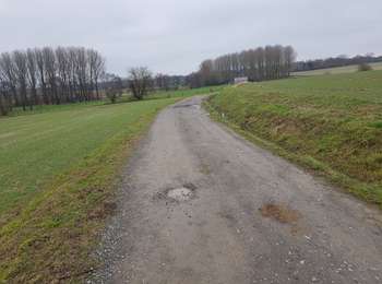 Trail Walking Ham-sur-Heure-Nalinnes - Marbaix cimetière-La Houzée - Photo