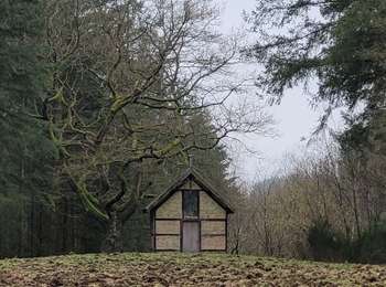 Tour Wandern Somme-Leuze - rando nettinne 2-02-2024 - Photo