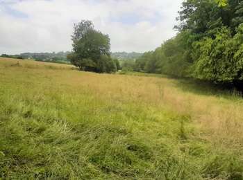 Trail Walking Wanze - antheit reco 23 - Photo