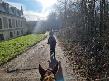 Tour Pferd Maisons-Laffitte - SityTrail - Endurance 30 km  - Photo