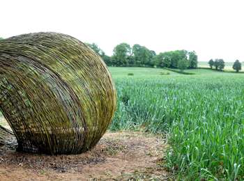 Excursión Senderismo Gesves - SENTIERS D'ART - Grande randonnée - Assesse, Ciney, Gesves, Hamois, Havelange, Ohey et Somme-Leuze - Photo