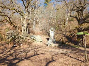 Randonnée Marche Senlisse - 230227 vaux cernay - Photo