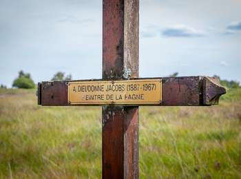 Trail On foot Spa - SPA 12 - Spa Waters 🟥 - Photo