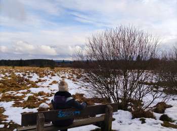 Tocht Stappen Waimes - La fagne de Sourbrodt   - Photo