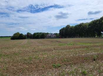 Tour Wandern Fernelmont - Noville les Bois 220823 - Photo